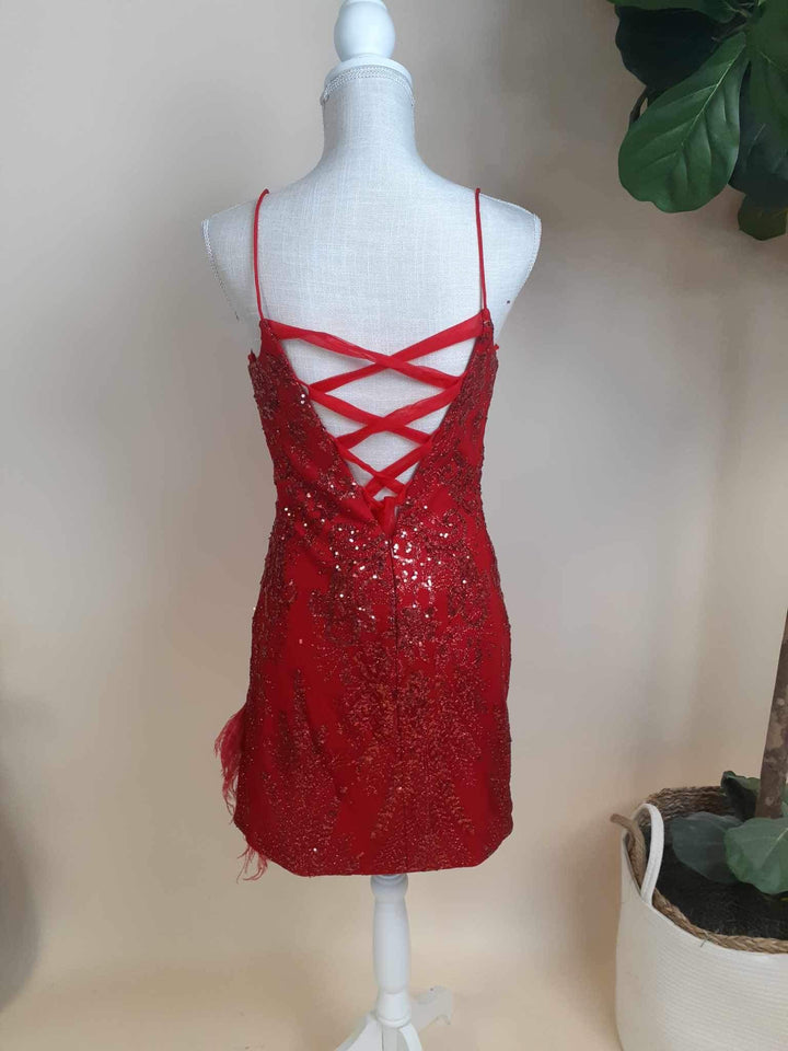 Red Sequin Embroidered Dress With Feathers (Size 8)