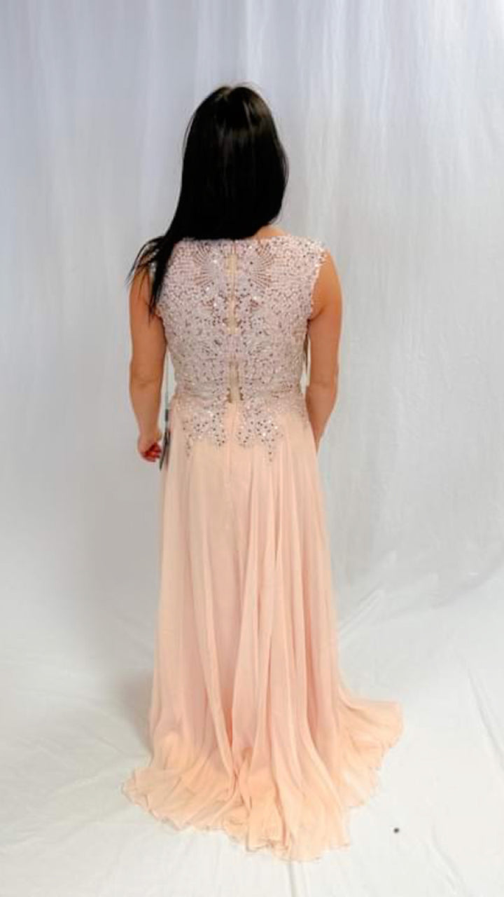 Formal Blush Dress (SIZE 6)